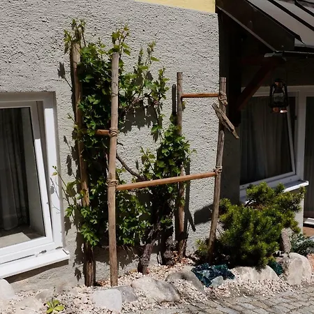 Stangassinger Apartment